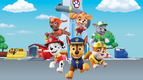 Paw Patrol S06 B07 Paw Patrol S06 B07