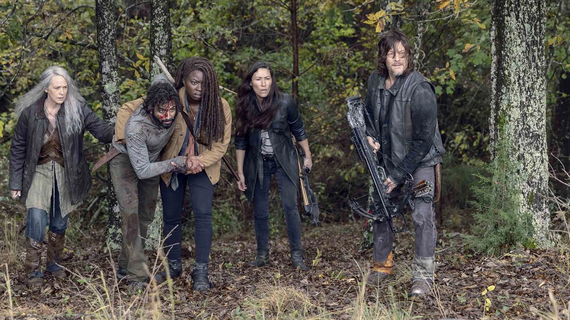 The Walking Dead S09 B15